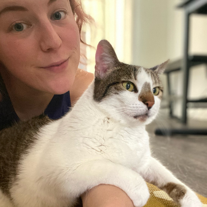 Cat Lover Here To Bring Peace Of Mind