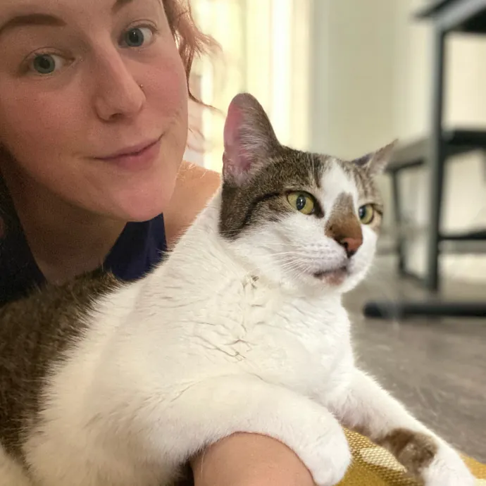 Cat Lover Here To Bring Peace Of Mind