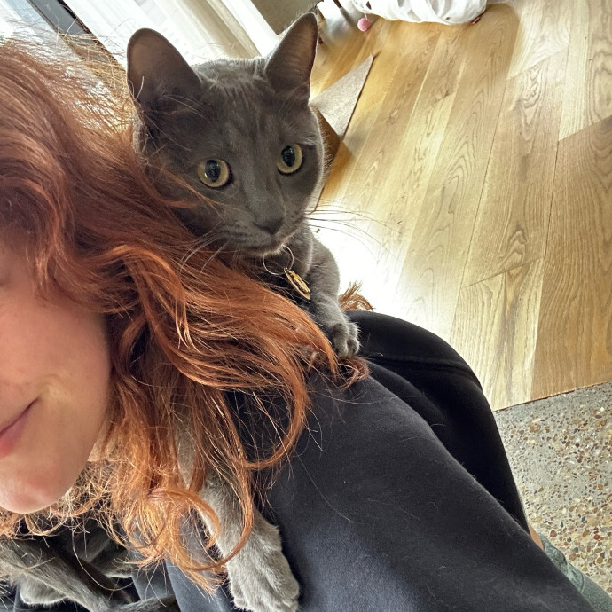 Cat Lover Here To Bring Peace Of Mind