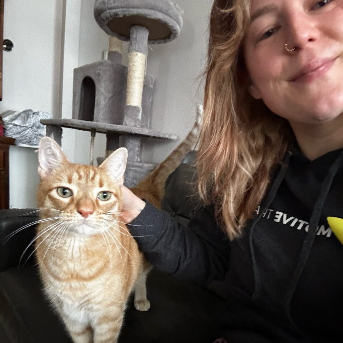 Cat Lover Here To Bring Peace Of Mind