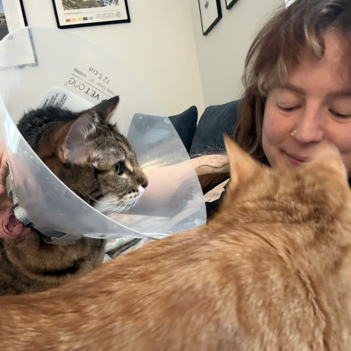 Cat Lover Here To Bring Peace Of Mind photo 2