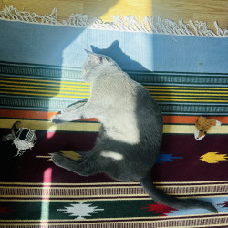 Photo #2