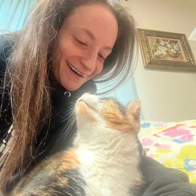 Onlycats Cats Are Better Than People