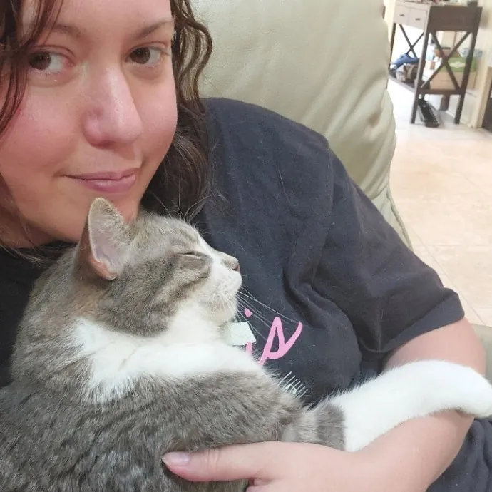 Energetic Kitty Lover