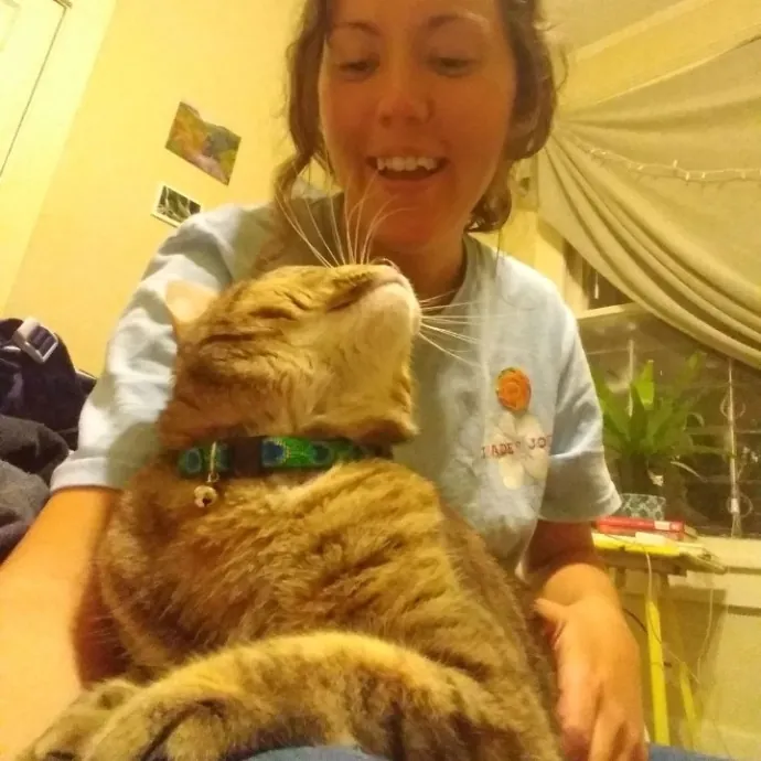 Energetic Kitty Lover photo 3