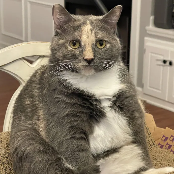 Bonnie B.
