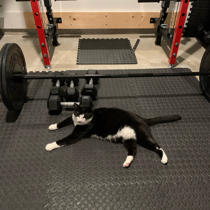 Tally's Kitty Care Atlanta