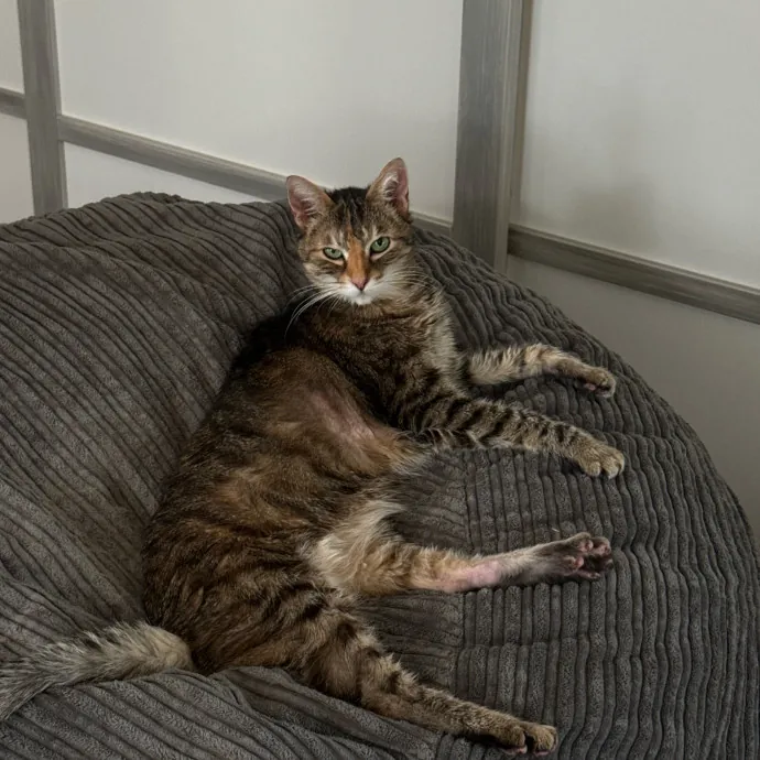 Anna U.