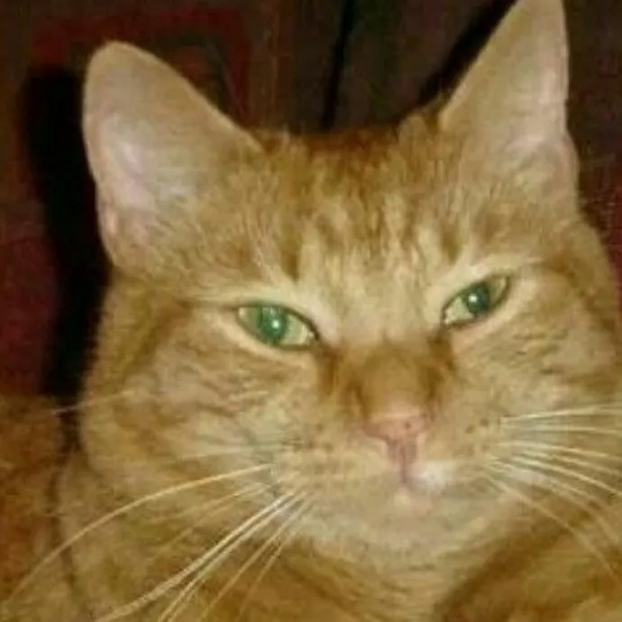 Extraordinary Cat Mom