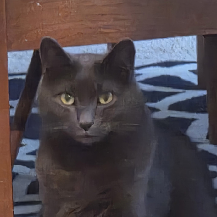 Extraordinary Cat Mom