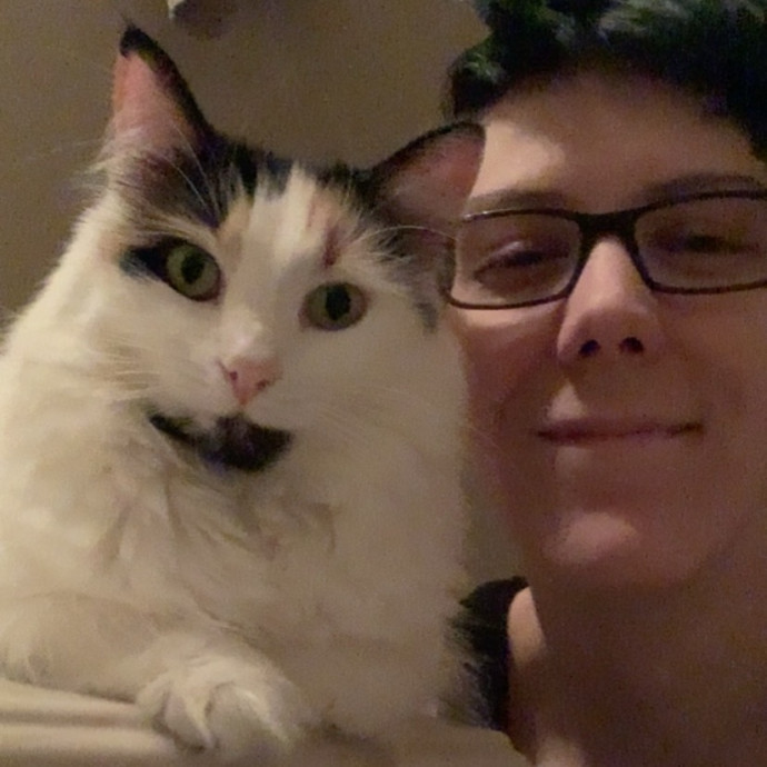 Levi's Cat Sitting