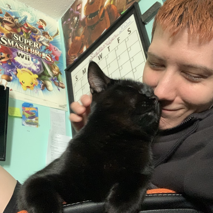 Levi's Cat Sitting