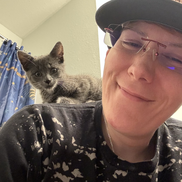 Levi's Cat Sitting