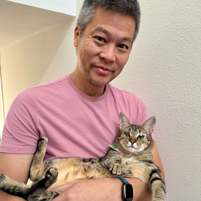Expert Care From A Cat Foster Veteran