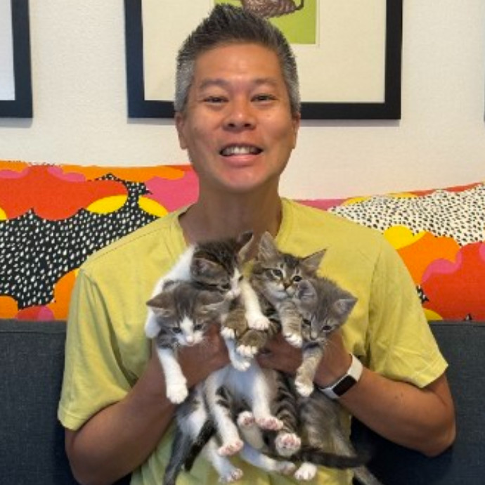Expert Care From A Cat Foster Veteran
