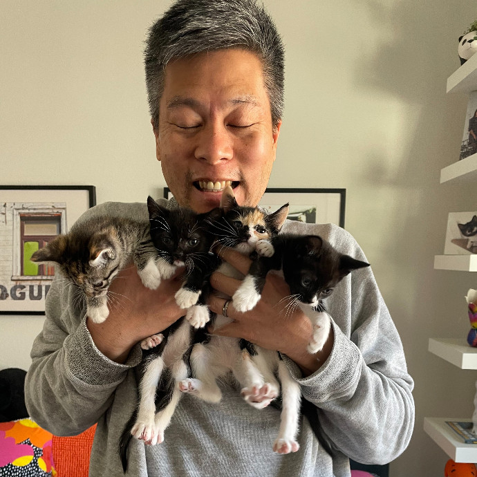 Expert Care From A Cat Foster Veteran
