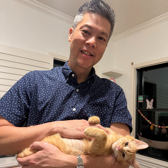 Expert Care From A Cat Foster Veteran photo 3