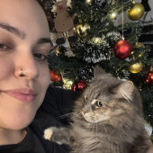 Your Cat's New Favorite Auntie