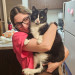 Sherman Oaks Cats 