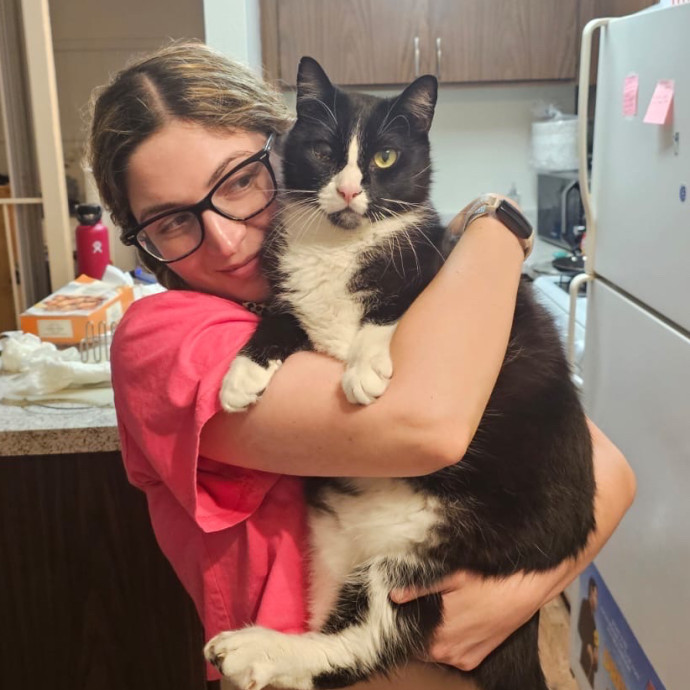 Sherman Oaks Cat Sitter Insulin Pro Sherman Oaks Cat Sitter Insulin Pro