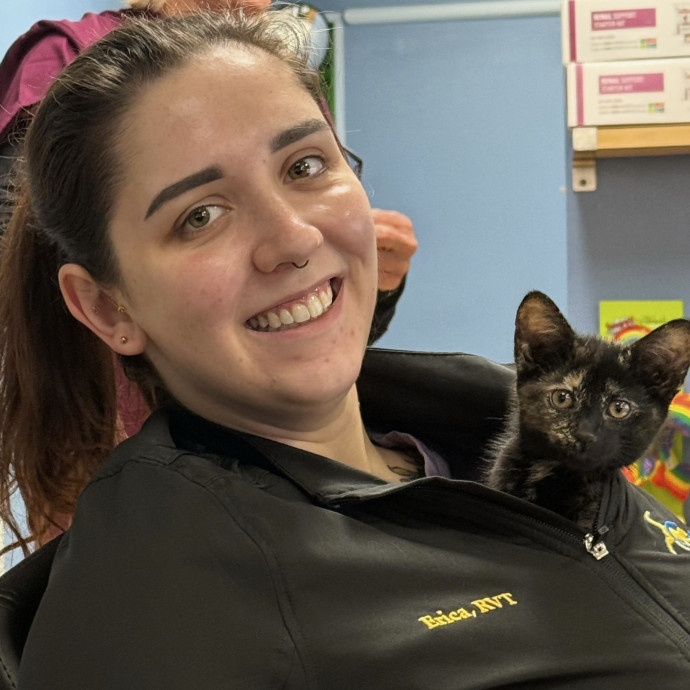Registered Veterinary Technician