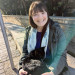 Whisker Watcher Reliable Cat Care
