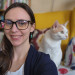 Morgan's Meowtown Cat Carer