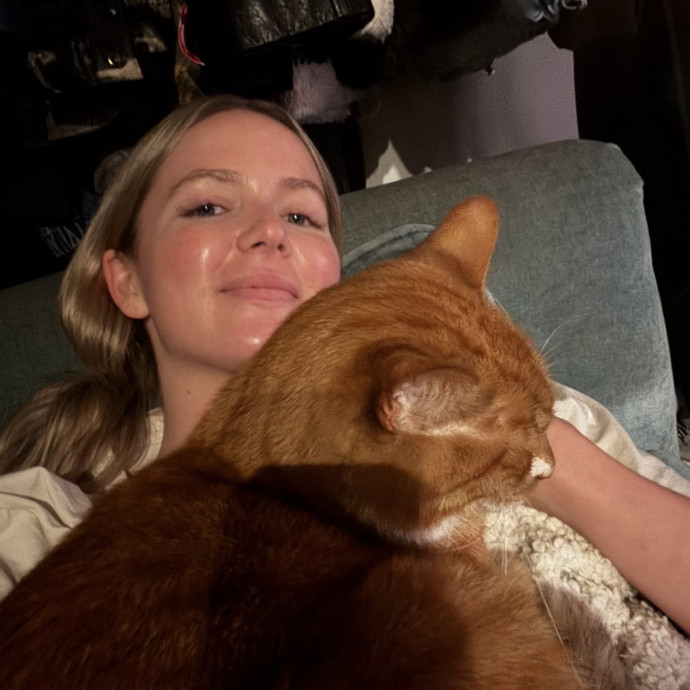 Your Cat's New Best Friend