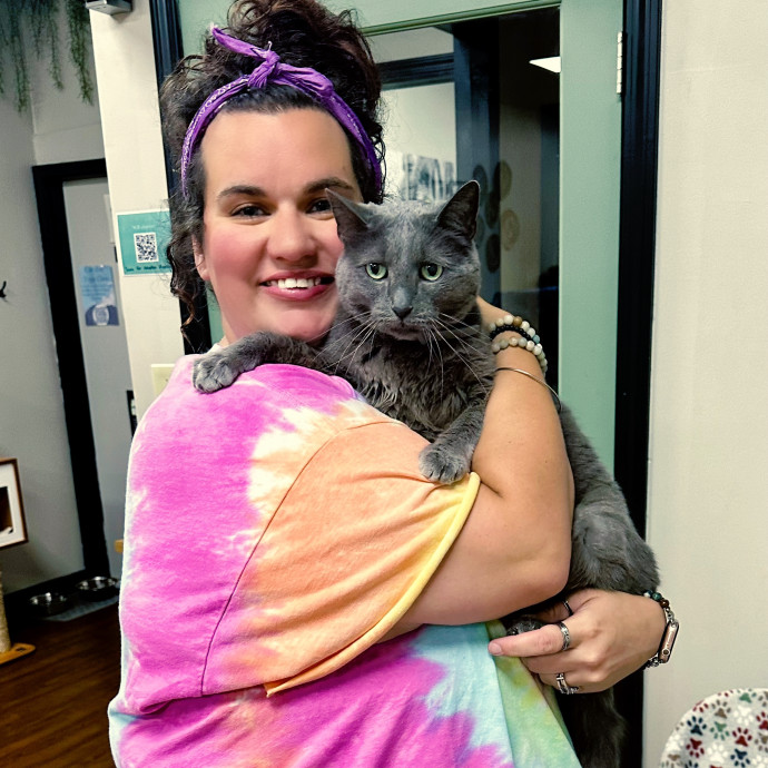 Experienced Cat Café Caregiver  Medicat