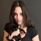 Chaos Gremlins Cat Sitting