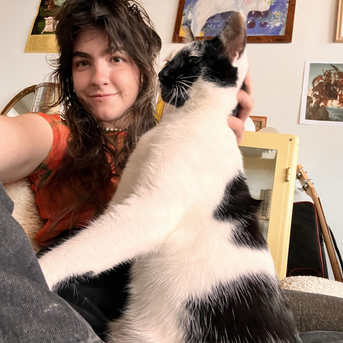Cat Sitter With Veterinary Experience