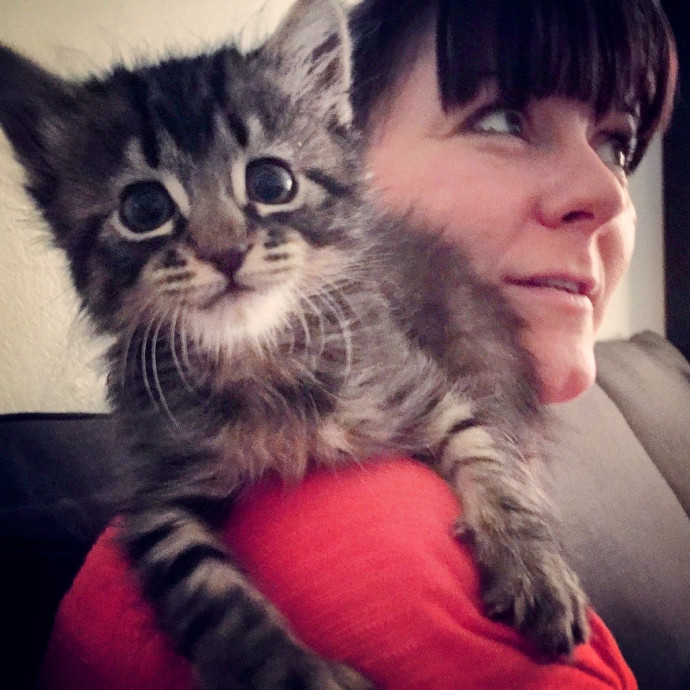 Gentle Loving Reliable Cat Care