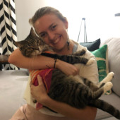 Purrfect Pal For Your Kitty