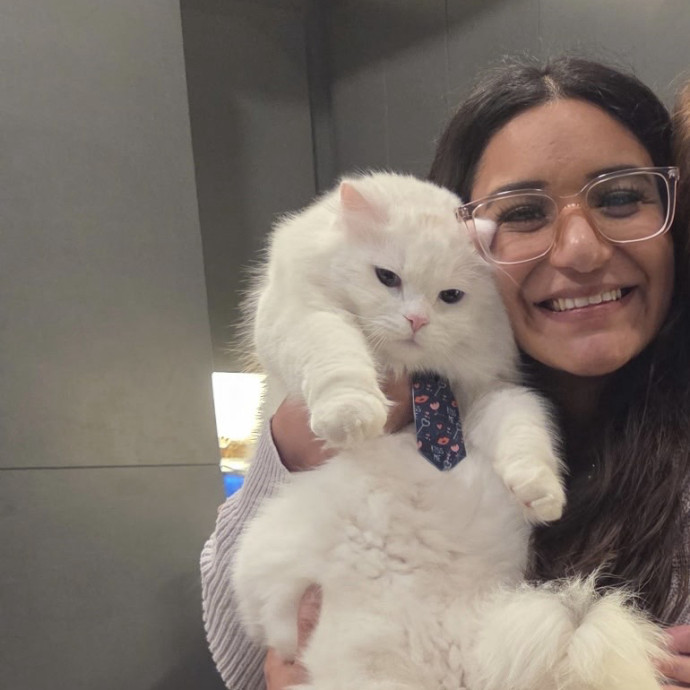 Anita's Kitty City