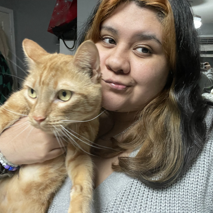 Your Cat's New Bestie