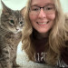 Olivia's Kitty Concierge