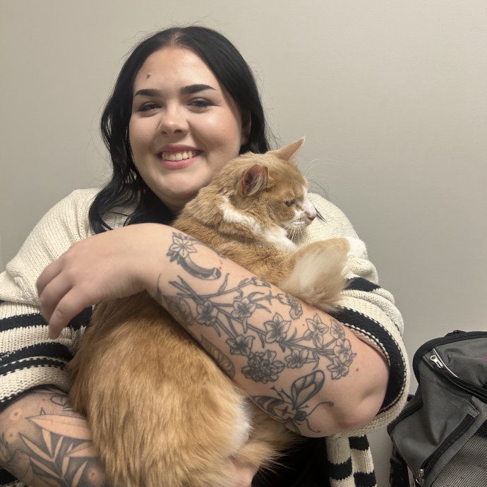 Loving Cat Sitter