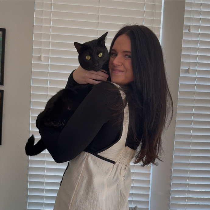 Your Local Meowtal Cat Care Provider
