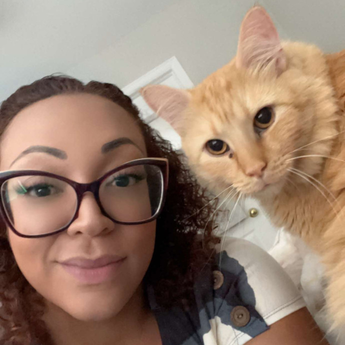 Calm Caring Cat Sitter Aurora Co Calm Caring Cat Sitter Aurora Co