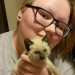 Crazy Cat Fanatic