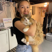 Flexible Work From Home Cat Sitter