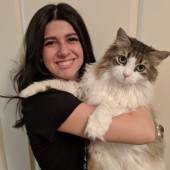 I Need More Cats To Love Please I Need More Cats To Love Please