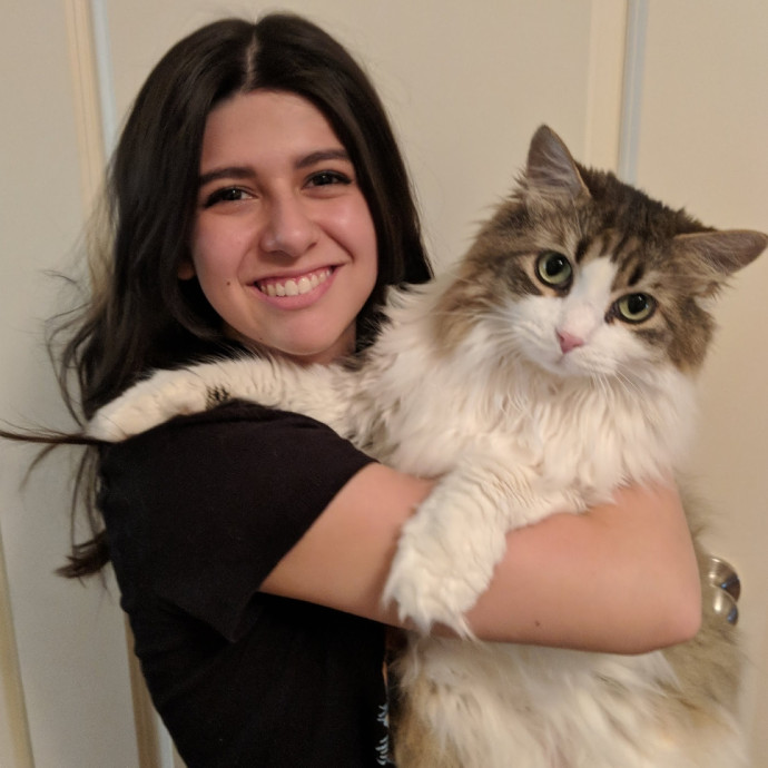 I Need More Cats To Love Please I Need More Cats To Love Please