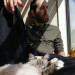 Press Paws And Live In The Meow