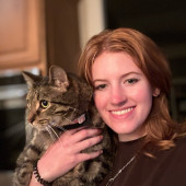 Adventures In Cat Sitting