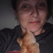 Great Cat Care