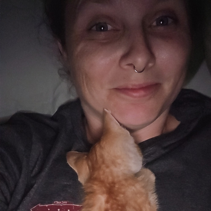 Great Cat Care Great Cat Care