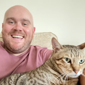 Irish Guy In Ny Misses His Cats