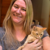 I'm Lawren Cat Lover And Cat Mom