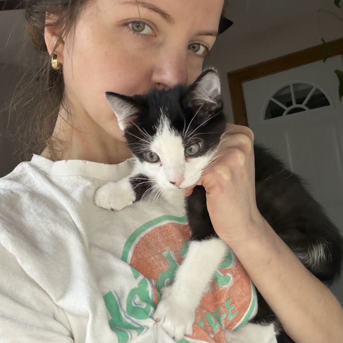 Your Cat's Favorite Sitterphotographer